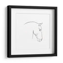 Contorno De Lápiz Equino Iv - Emma Scarvey | Cuadro decorativo de Canvas Lab