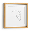 Contorno De Lápiz Equino Iv - Emma Scarvey | Cuadro decorativo de Canvas Lab