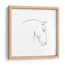 Contorno De Lápiz Equino Iv - Emma Scarvey | Cuadro decorativo de Canvas Lab