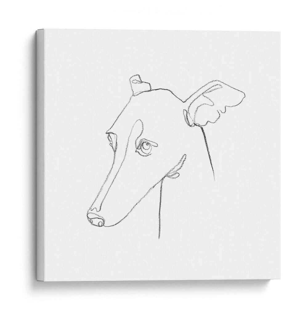 Retrato De Lápiz De Galgo I - Emma Scarvey | Cuadro decorativo de Canvas Lab