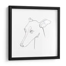 Retrato De Lápiz De Galgo I - Emma Scarvey | Cuadro decorativo de Canvas Lab