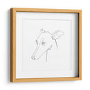Retrato De Lápiz De Galgo I - Emma Scarvey | Cuadro decorativo de Canvas Lab