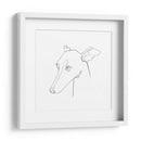 Retrato De Lápiz De Galgo I - Emma Scarvey | Cuadro decorativo de Canvas Lab