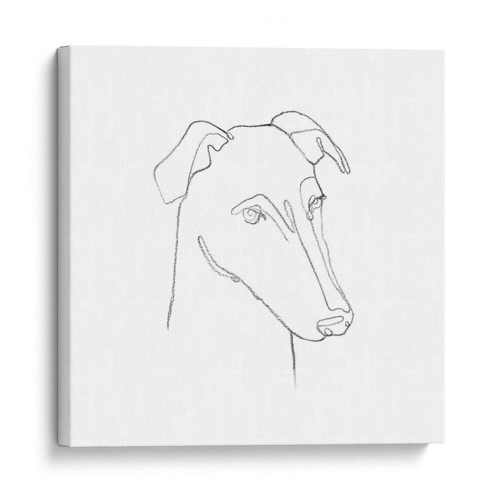 Retrato De Lápiz Greyhound Ii - Emma Scarvey | Cuadro decorativo de Canvas Lab