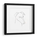 Retrato De Lápiz Greyhound Ii - Emma Scarvey | Cuadro decorativo de Canvas Lab
