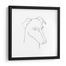 Retrato De Lápiz Greyhound Ii - Emma Scarvey | Cuadro decorativo de Canvas Lab