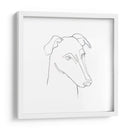 Retrato De Lápiz Greyhound Ii - Emma Scarvey | Cuadro decorativo de Canvas Lab