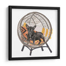 Pom Pom Pup Ii Ii - Melissa Wang | Cuadro decorativo de Canvas Lab