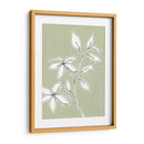 Dibujo Botánico I - Regina Moore | Cuadro decorativo de Canvas Lab