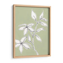 Dibujo Botánico I - Regina Moore | Cuadro decorativo de Canvas Lab