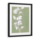 Dibujo Botanico Ii - Regina Moore | Cuadro decorativo de Canvas Lab