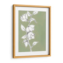 Dibujo Botanico Ii - Regina Moore | Cuadro decorativo de Canvas Lab