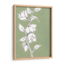 Dibujo Botanico Ii - Regina Moore | Cuadro decorativo de Canvas Lab