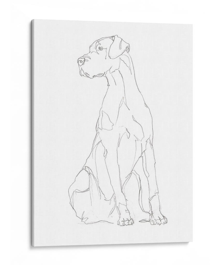 Contorno De Perro Ii - Ethan Harper | Cuadro decorativo de Canvas Lab