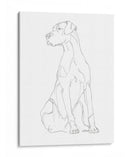 Contorno De Perro Ii - Ethan Harper | Cuadro decorativo de Canvas Lab
