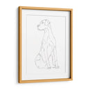 Contorno De Perro Ii - Ethan Harper | Cuadro decorativo de Canvas Lab