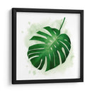 Palm Wash Ii - Grace Popp | Cuadro decorativo de Canvas Lab