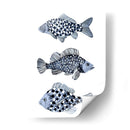 Pescado Azul Ii - Emma Scarvey | Cuadro decorativo de Canvas Lab