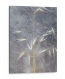 Luna Iluminada Sueño I - Paul McCreery | Cuadro decorativo de Canvas Lab