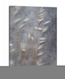 Luna Lit Dream Ii - Paul McCreery | Cuadro decorativo de Canvas Lab