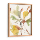 Hojas De Ebing Ii - Jennifer Goldberger | Cuadro decorativo de Canvas Lab