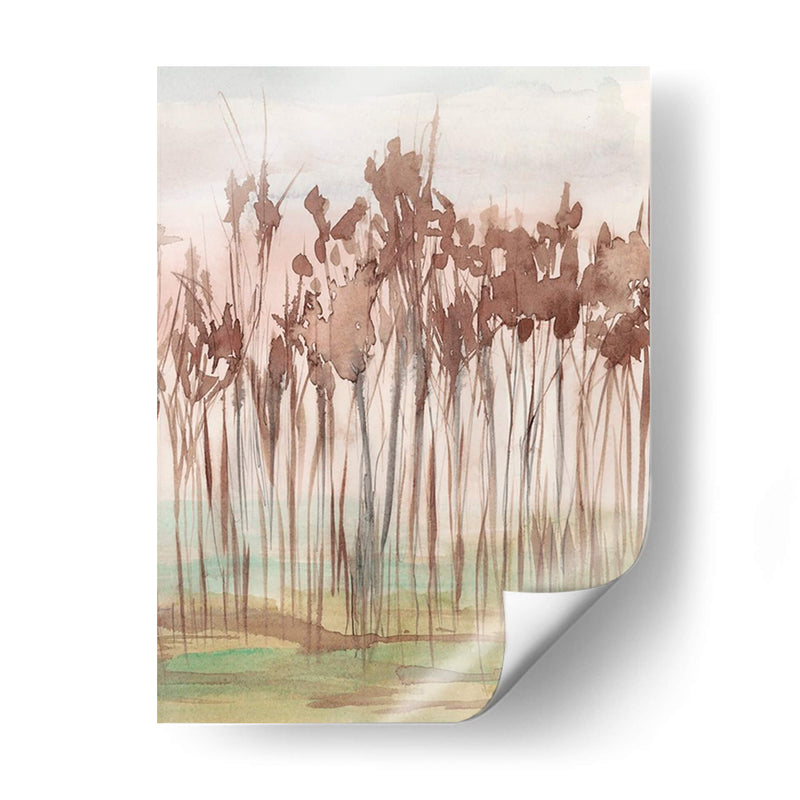 Sienna Treeline Ii - Jennifer Goldberger | Cuadro decorativo de Canvas Lab