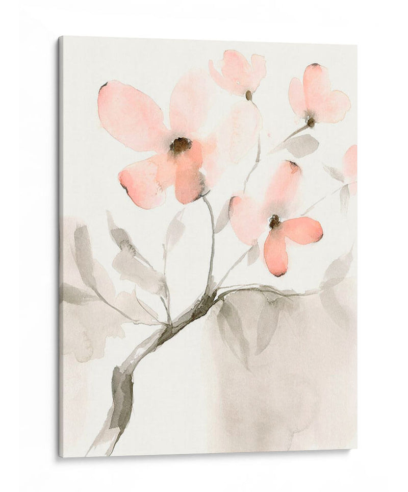 Dogwood Dream I - Jennifer Goldberger | Cuadro decorativo de Canvas Lab