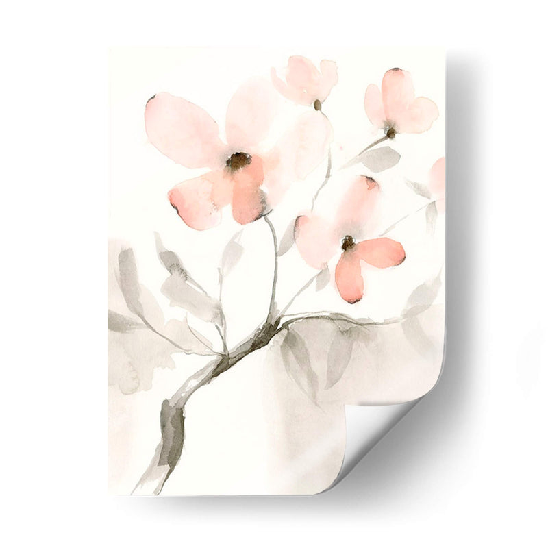 Dogwood Dream I - Jennifer Goldberger | Cuadro decorativo de Canvas Lab