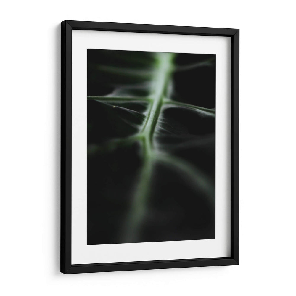 La vena verde | Cuadro decorativo de Canvas Lab