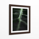 La vena verde | Cuadro decorativo de Canvas Lab