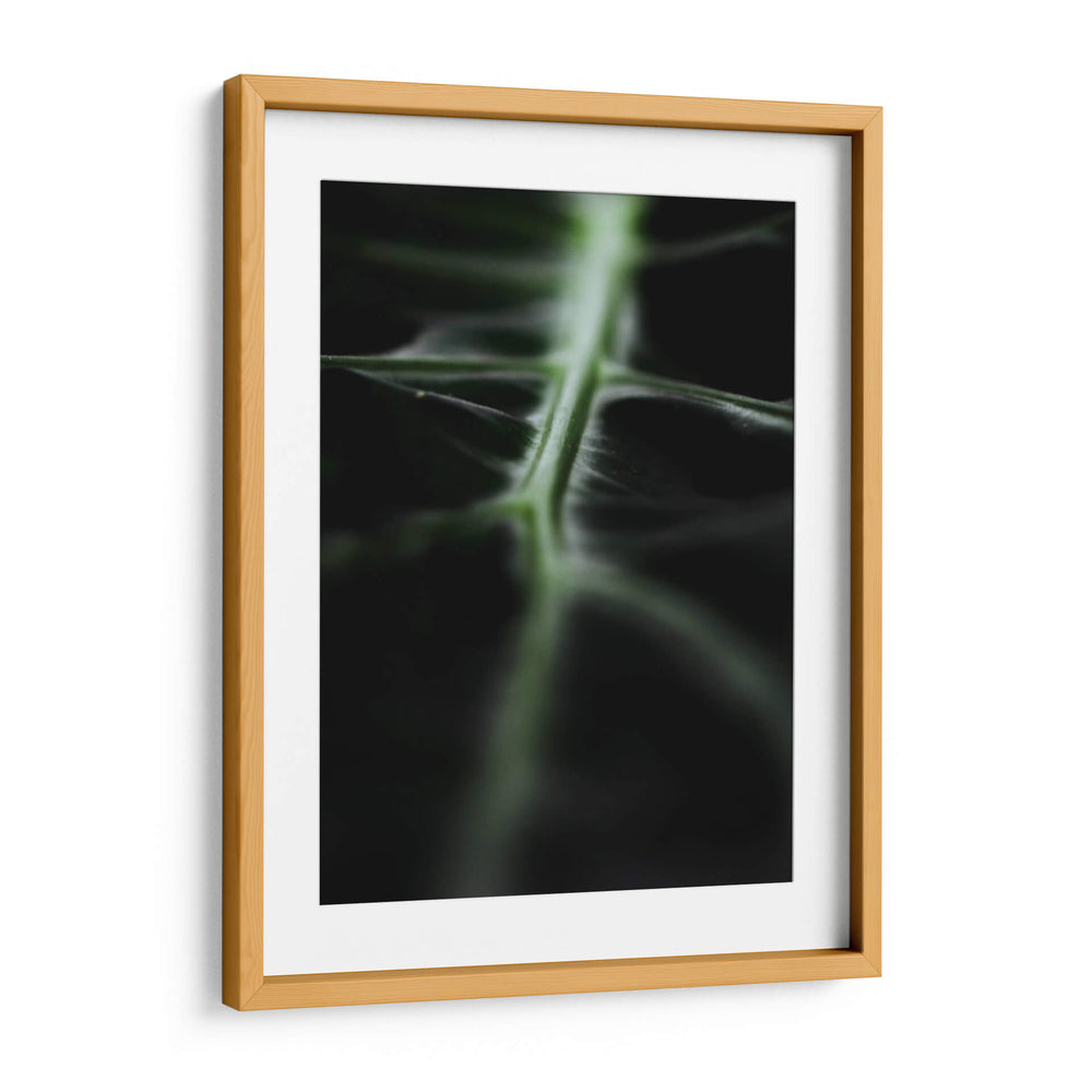 La vena verde | Cuadro decorativo de Canvas Lab