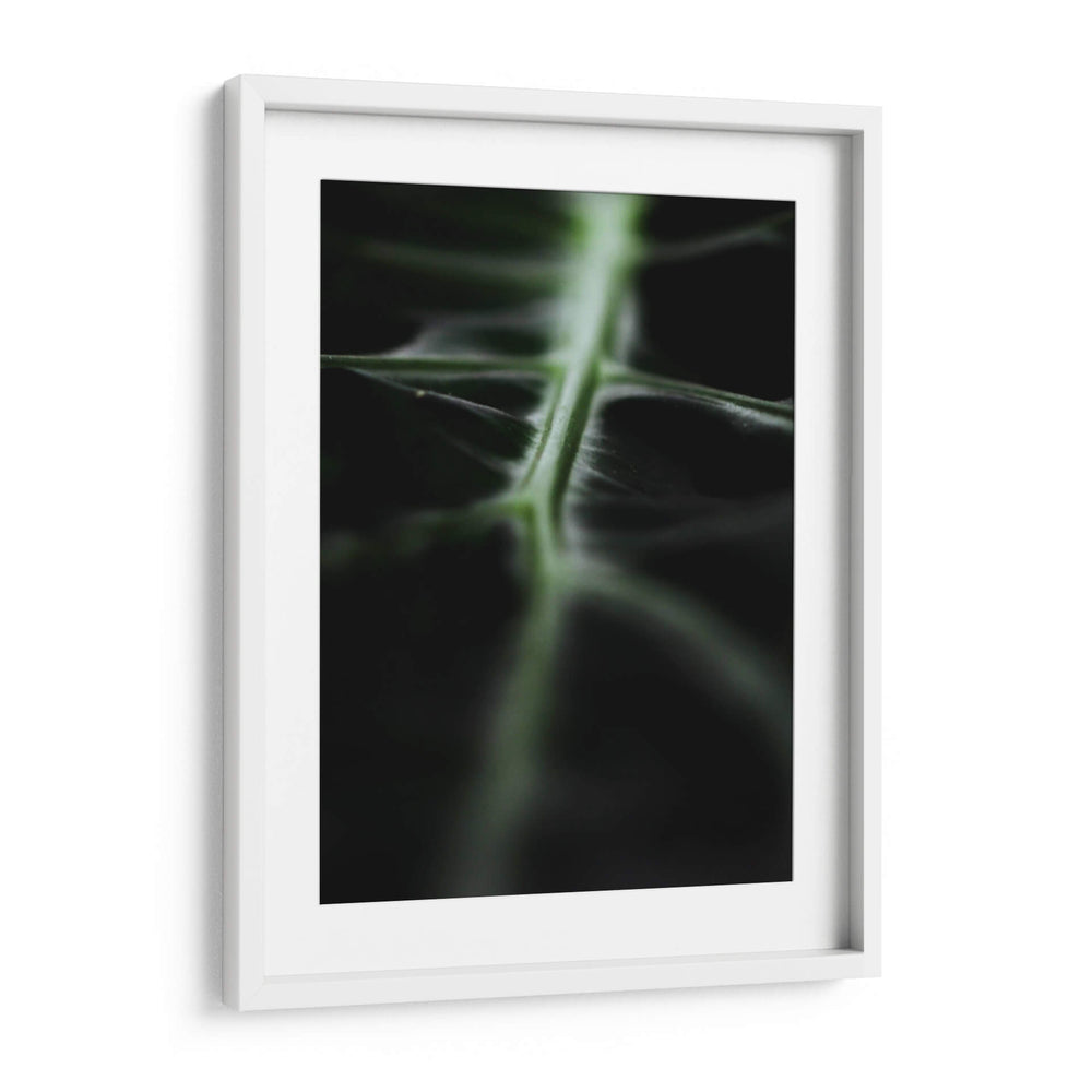 La vena verde | Cuadro decorativo de Canvas Lab