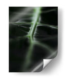 La vena verde | Cuadro decorativo de Canvas Lab