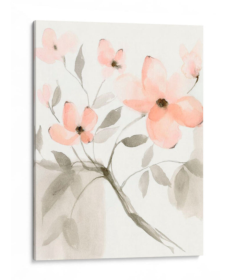 Dogwood Dream Ii - Jennifer Goldberger | Cuadro decorativo de Canvas Lab