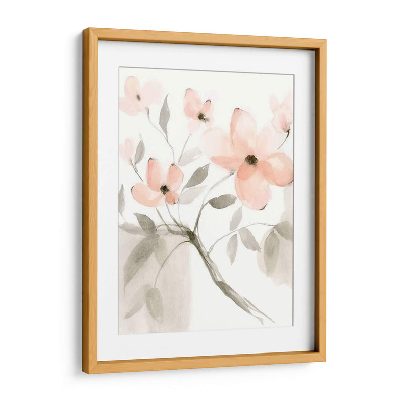 Dogwood Dream Ii - Jennifer Goldberger | Cuadro decorativo de Canvas Lab