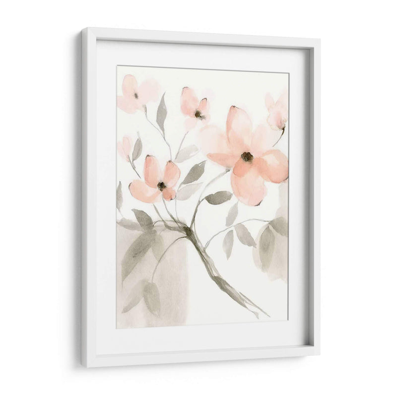 Dogwood Dream Ii - Jennifer Goldberger | Cuadro decorativo de Canvas Lab