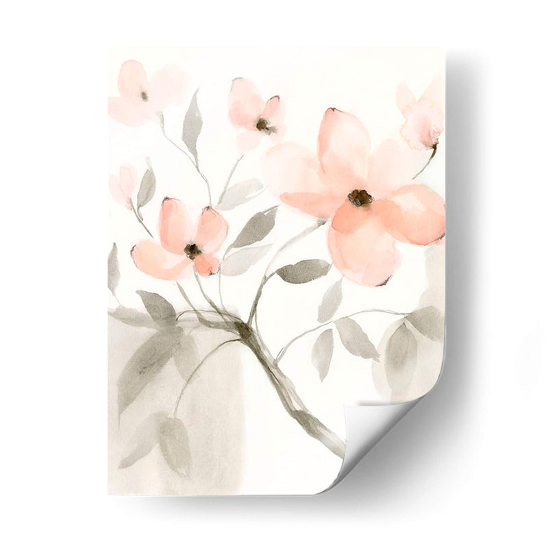 Dogwood Dream Ii - Jennifer Goldberger | Cuadro decorativo de Canvas Lab