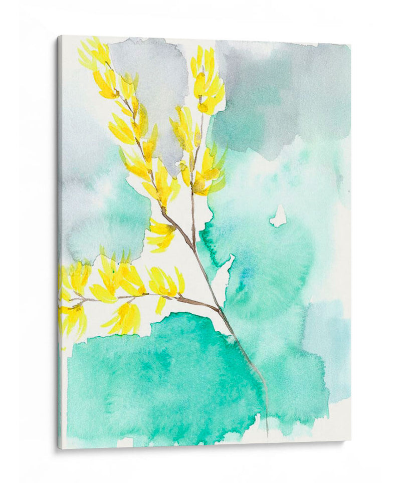 Forsythia Dreams I - Jennifer Goldberger | Cuadro decorativo de Canvas Lab