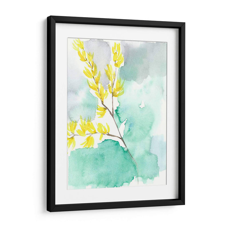 Forsythia Dreams I - Jennifer Goldberger | Cuadro decorativo de Canvas Lab