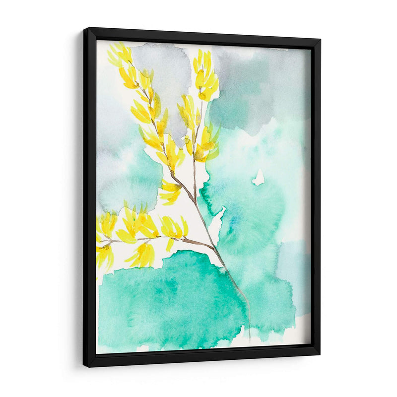 Forsythia Dreams I - Jennifer Goldberger | Cuadro decorativo de Canvas Lab