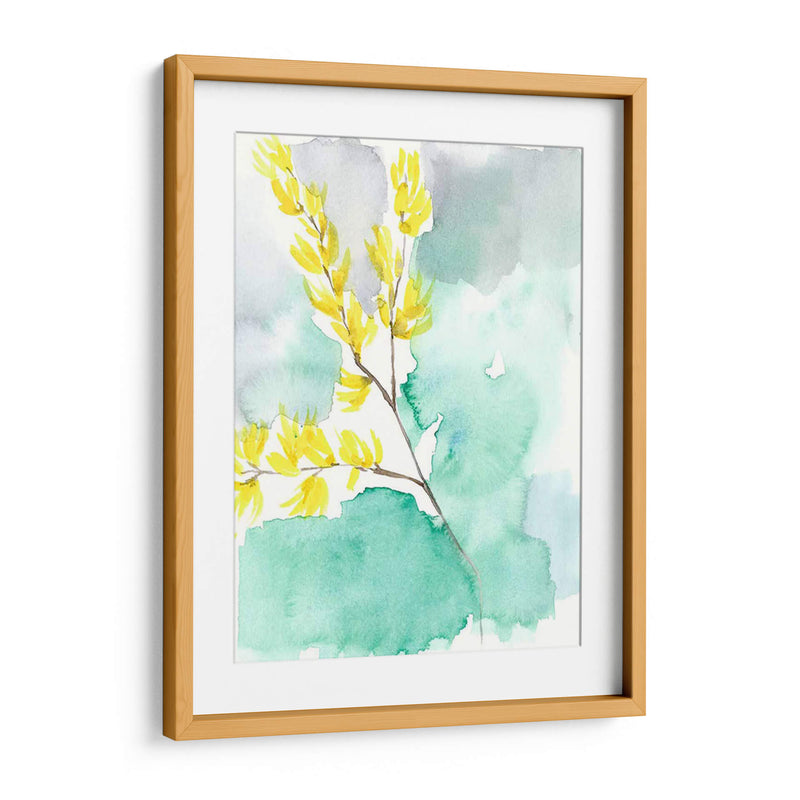 Forsythia Dreams I - Jennifer Goldberger | Cuadro decorativo de Canvas Lab