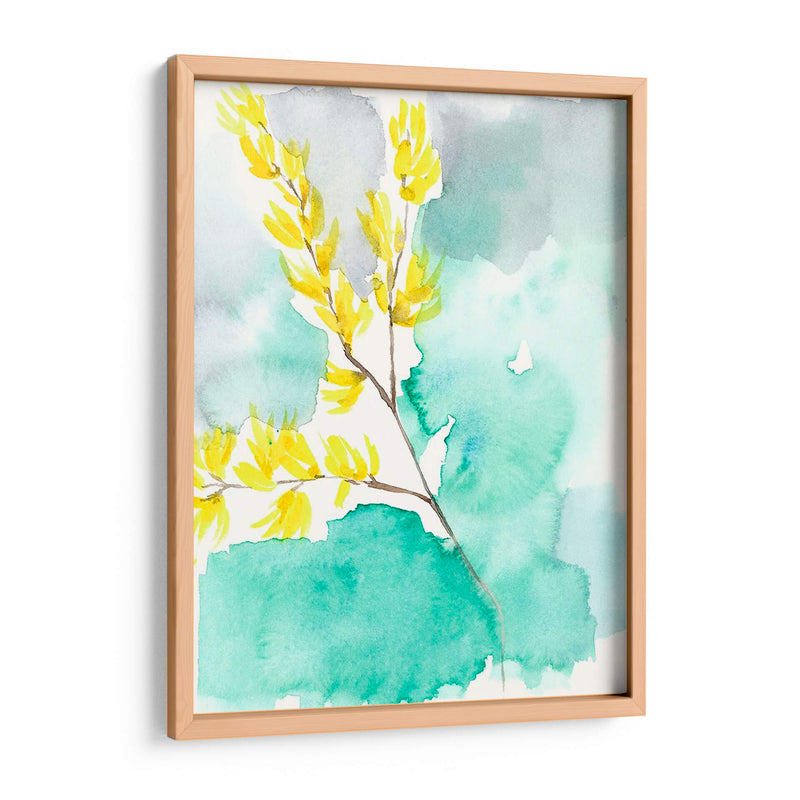 Forsythia Dreams I - Jennifer Goldberger | Cuadro decorativo de Canvas Lab