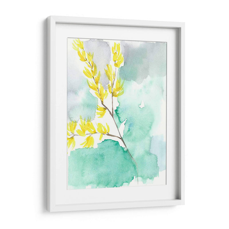 Forsythia Dreams I - Jennifer Goldberger | Cuadro decorativo de Canvas Lab