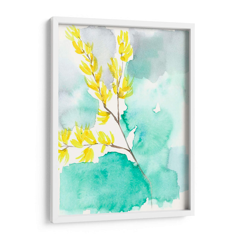 Forsythia Dreams I - Jennifer Goldberger | Cuadro decorativo de Canvas Lab