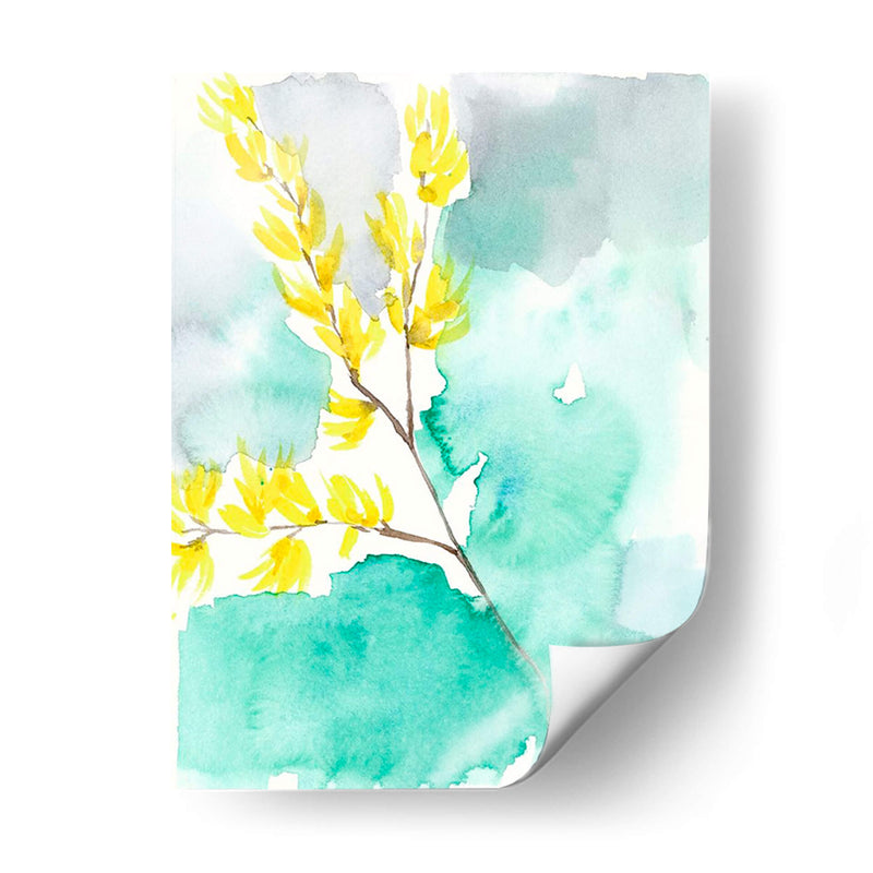 Forsythia Dreams I - Jennifer Goldberger | Cuadro decorativo de Canvas Lab