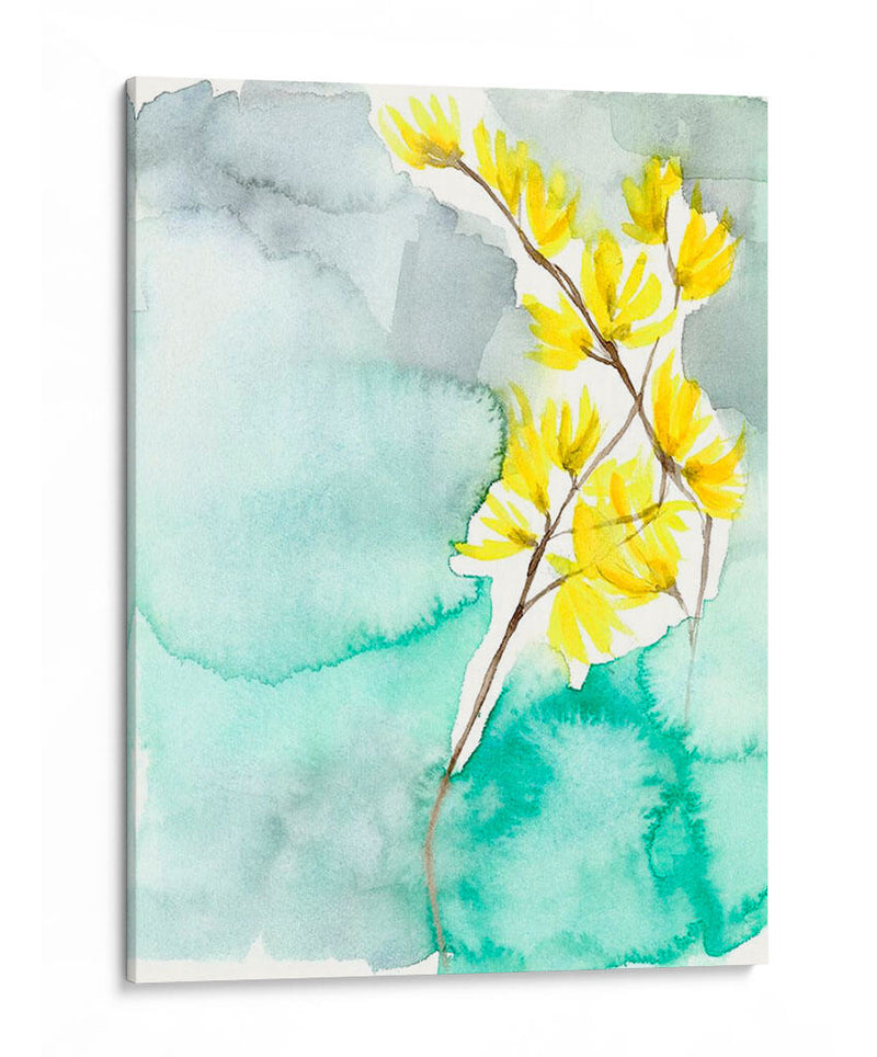 Forsythia Dreams Ii - Jennifer Goldberger | Cuadro decorativo de Canvas Lab