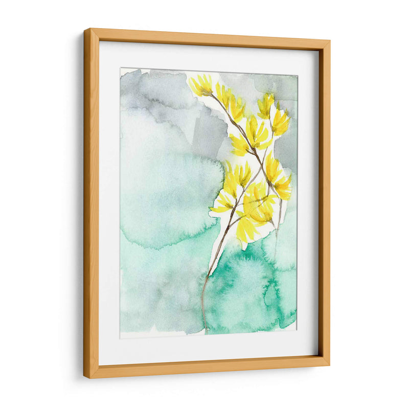 Forsythia Dreams Ii - Jennifer Goldberger | Cuadro decorativo de Canvas Lab