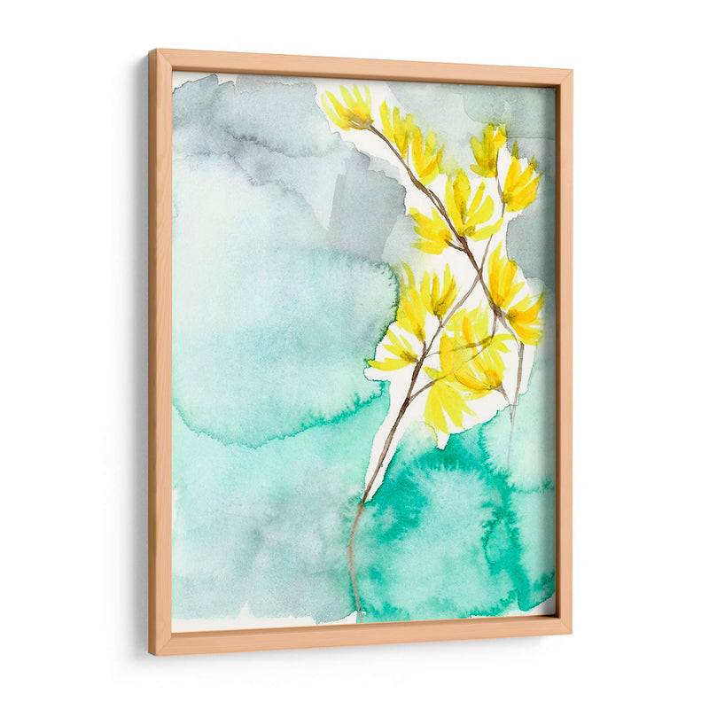 Forsythia Dreams Ii - Jennifer Goldberger | Cuadro decorativo de Canvas Lab