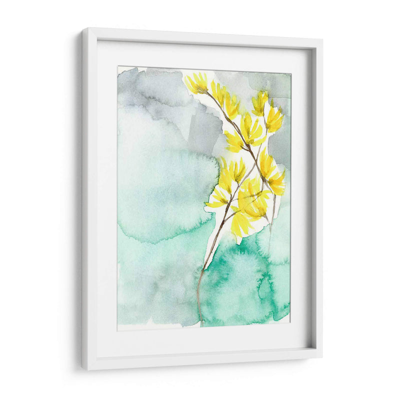 Forsythia Dreams Ii - Jennifer Goldberger | Cuadro decorativo de Canvas Lab