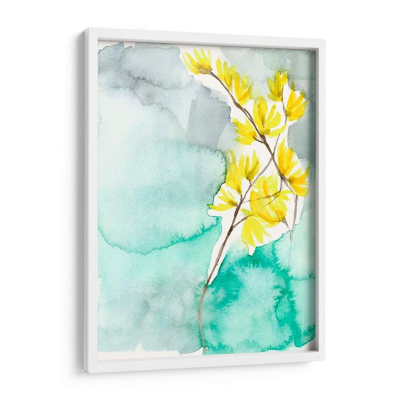 Forsythia Dreams Ii - Jennifer Goldberger | Cuadro decorativo de Canvas Lab